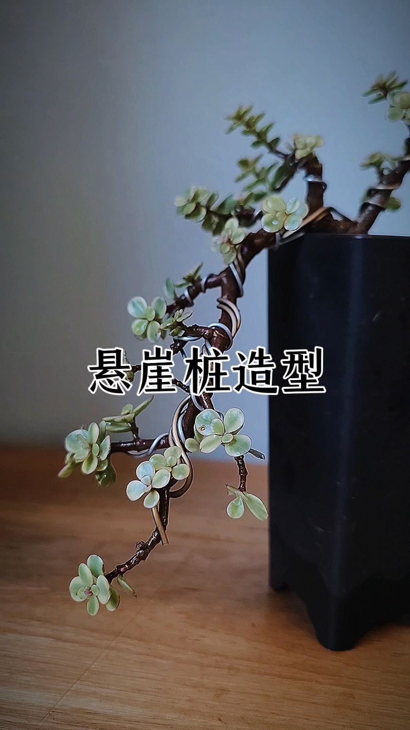 悬崖桩造型就是好看