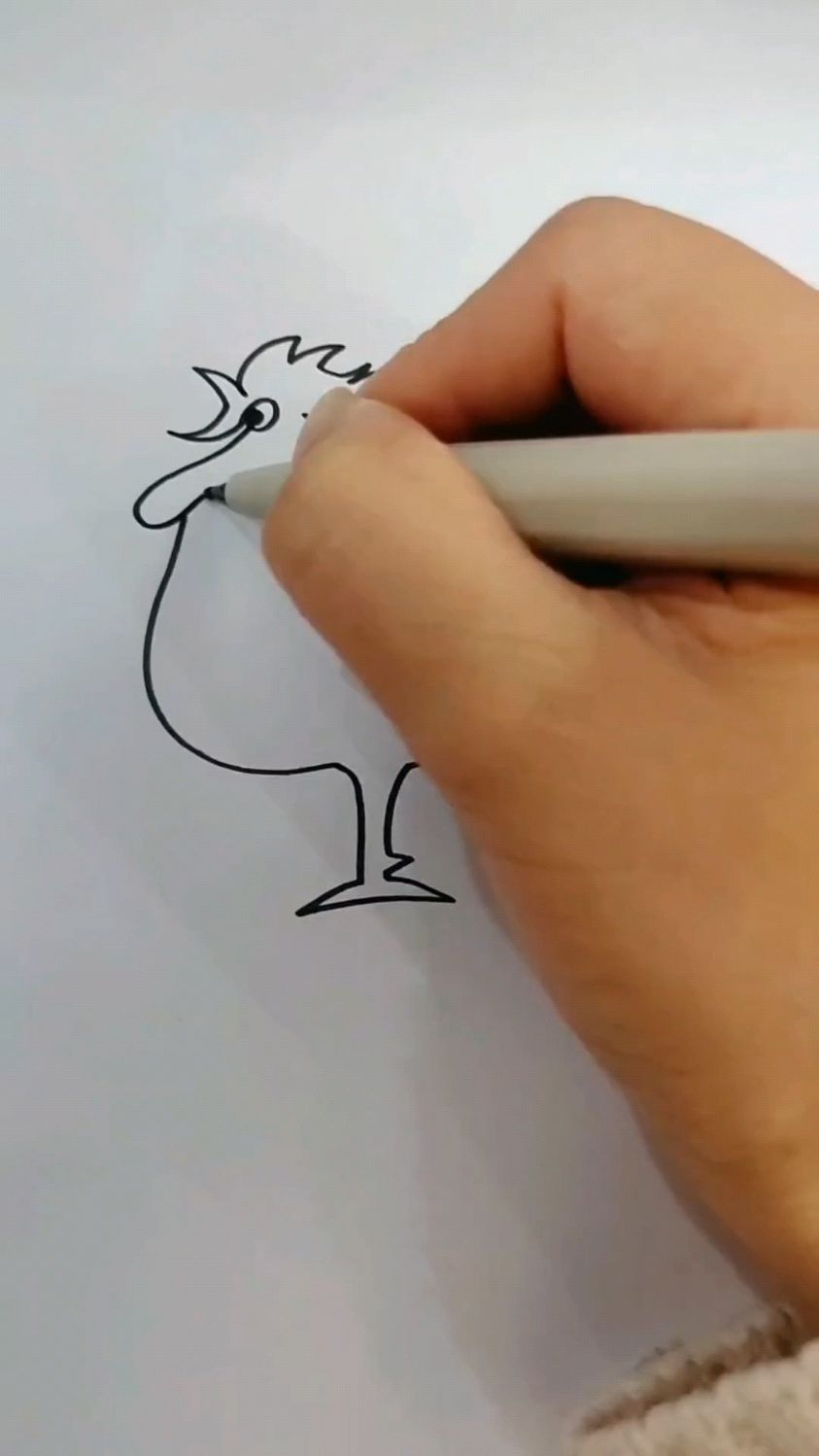 公鸡简笔画,需要的收藏