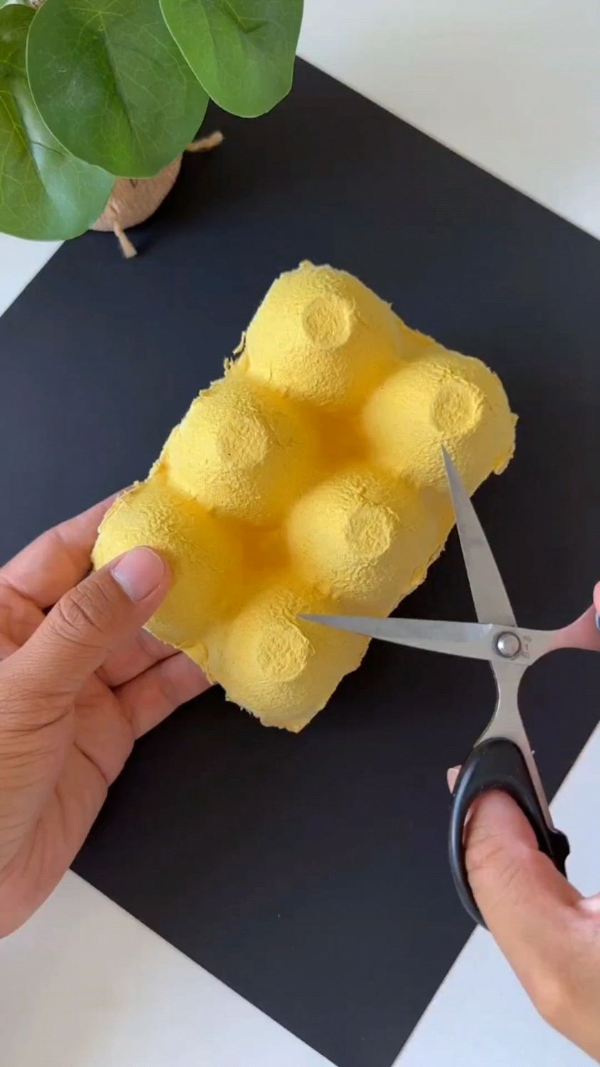 鸡蛋包装壳不要扔，做创意手工