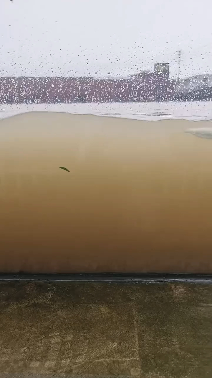 你见过这么大的鱼缸吗