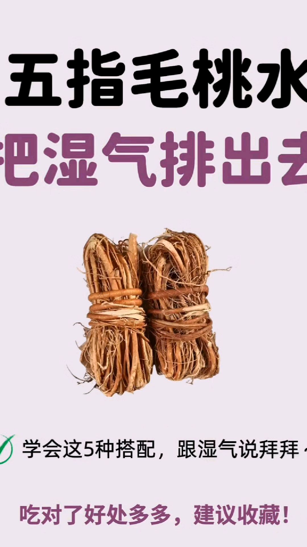 多喝五指毛桃水,跟脾虚、湿气重说拜拜!