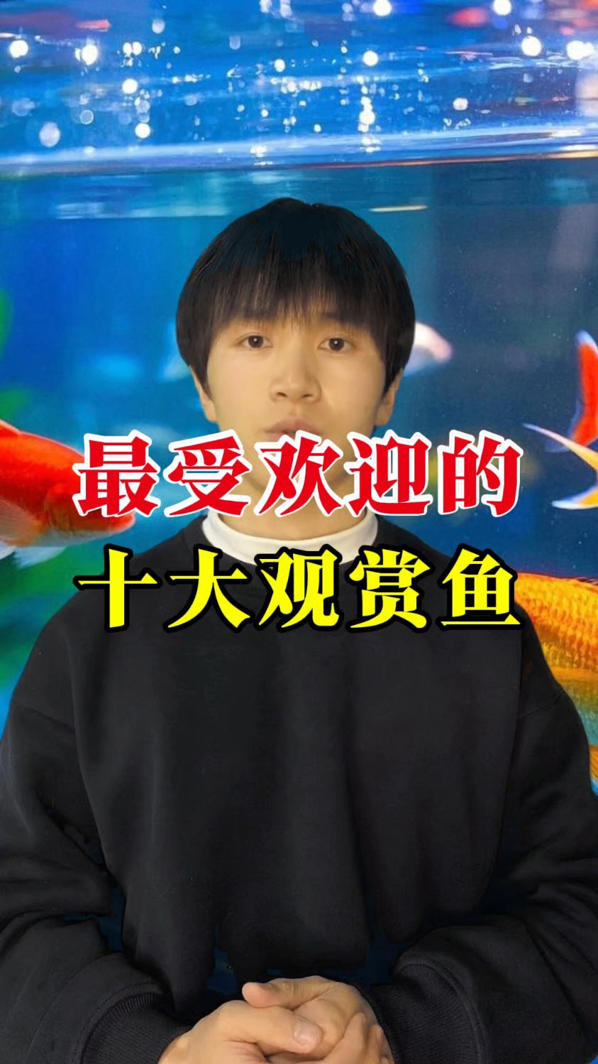 最受欢迎的十大观赏鱼