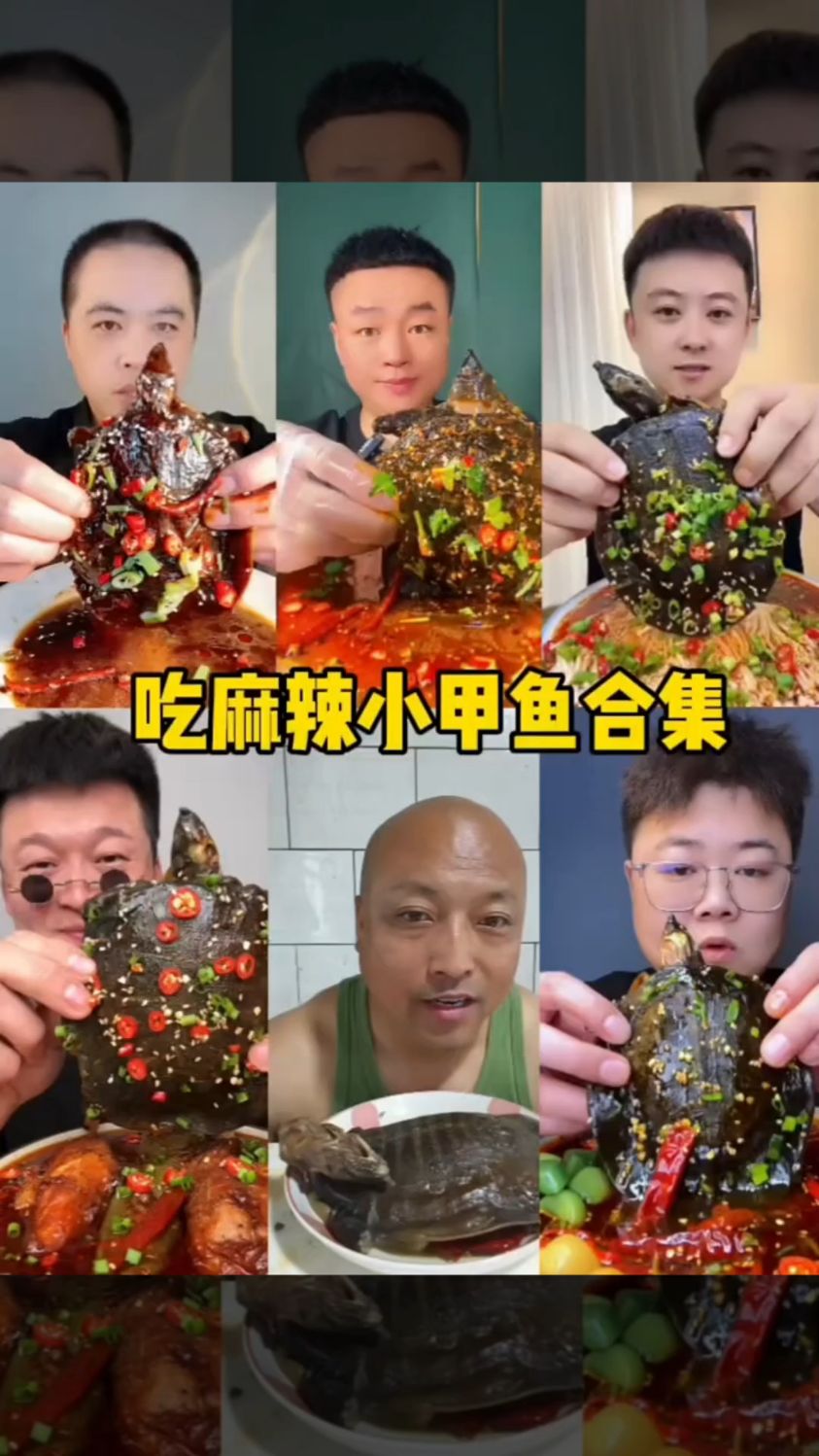 盘点全网最快吃甲鱼合集