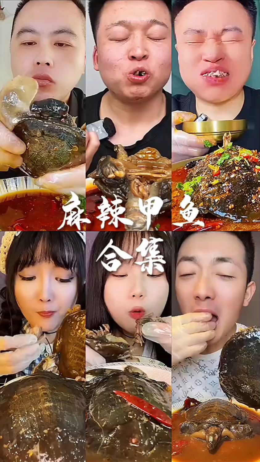 盘点麻辣甲鱼合集