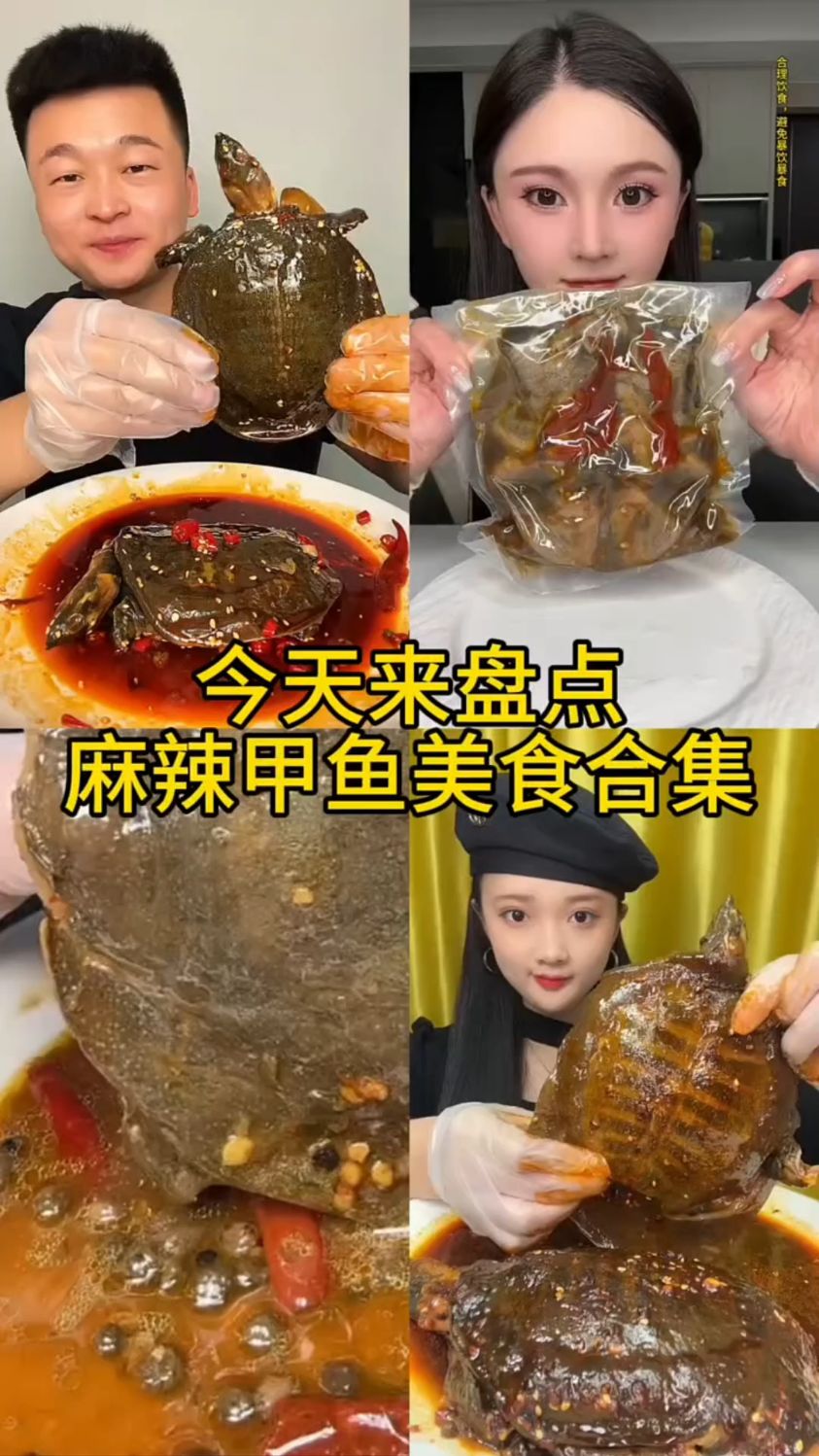 盘点吃麻辣甲鱼合集