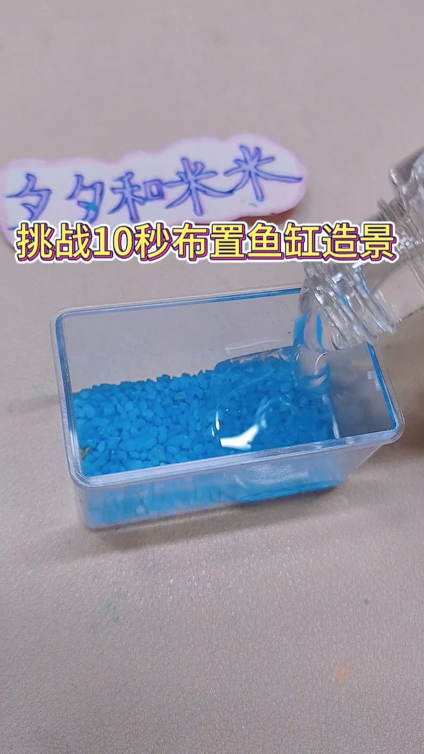 挑战10秒钟布置鱼缸造景