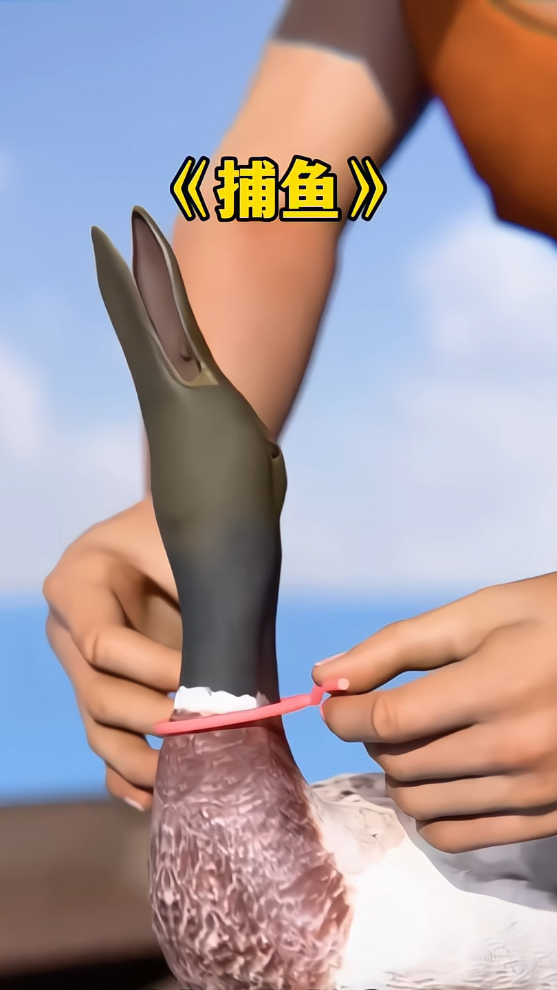 渔民如何利用鸟来捕鱼？