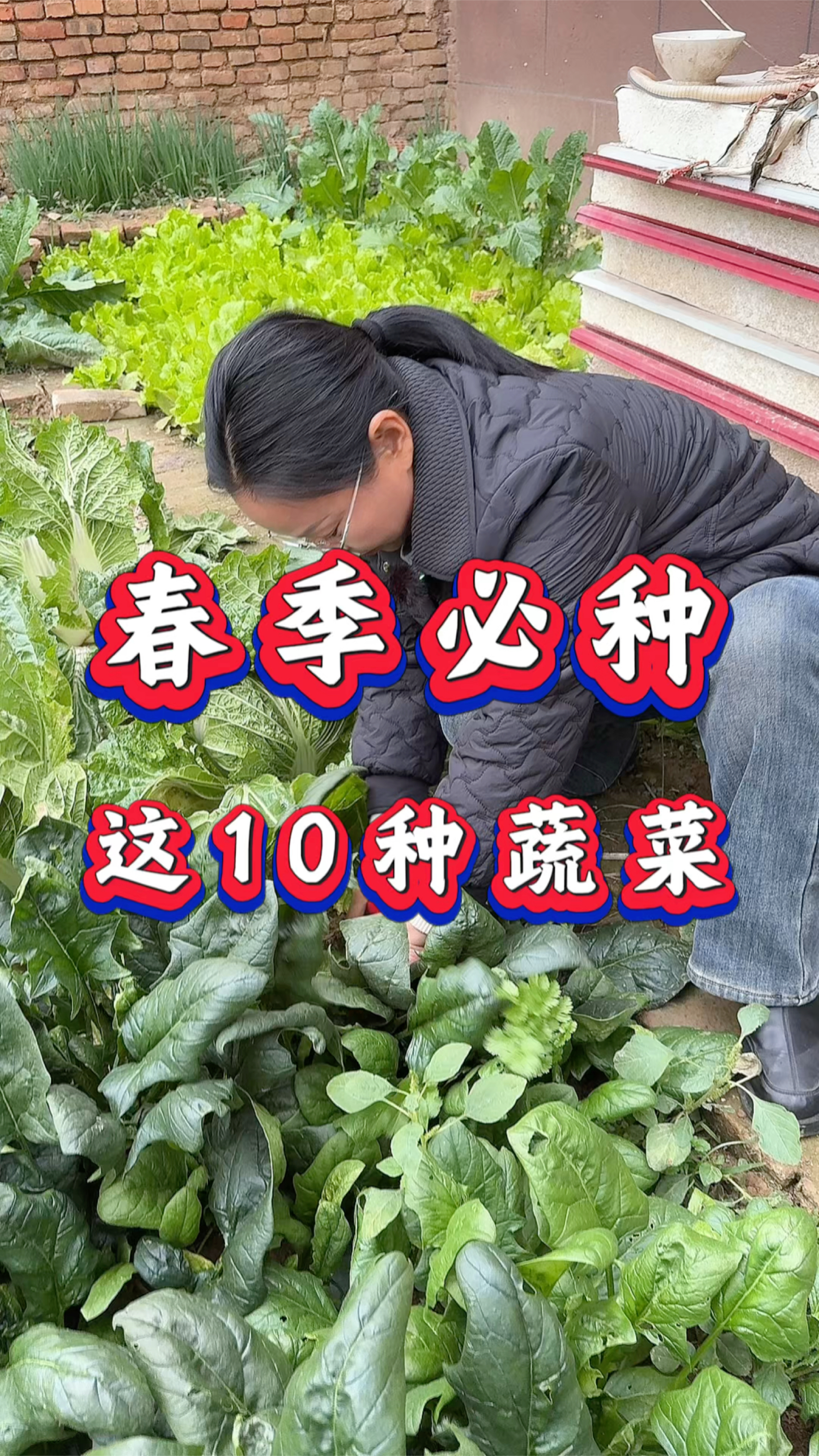 春季必种的十种蔬菜