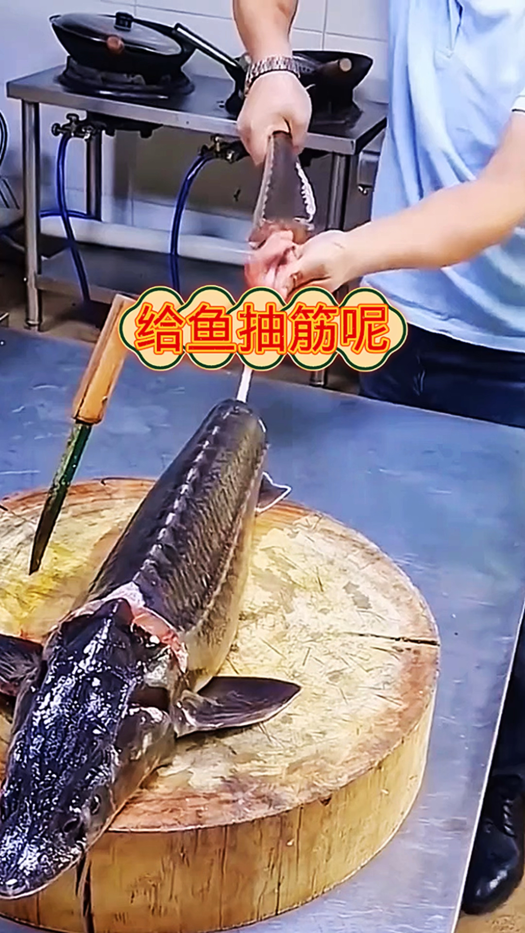 这是在给鲟鱼抽筋呢