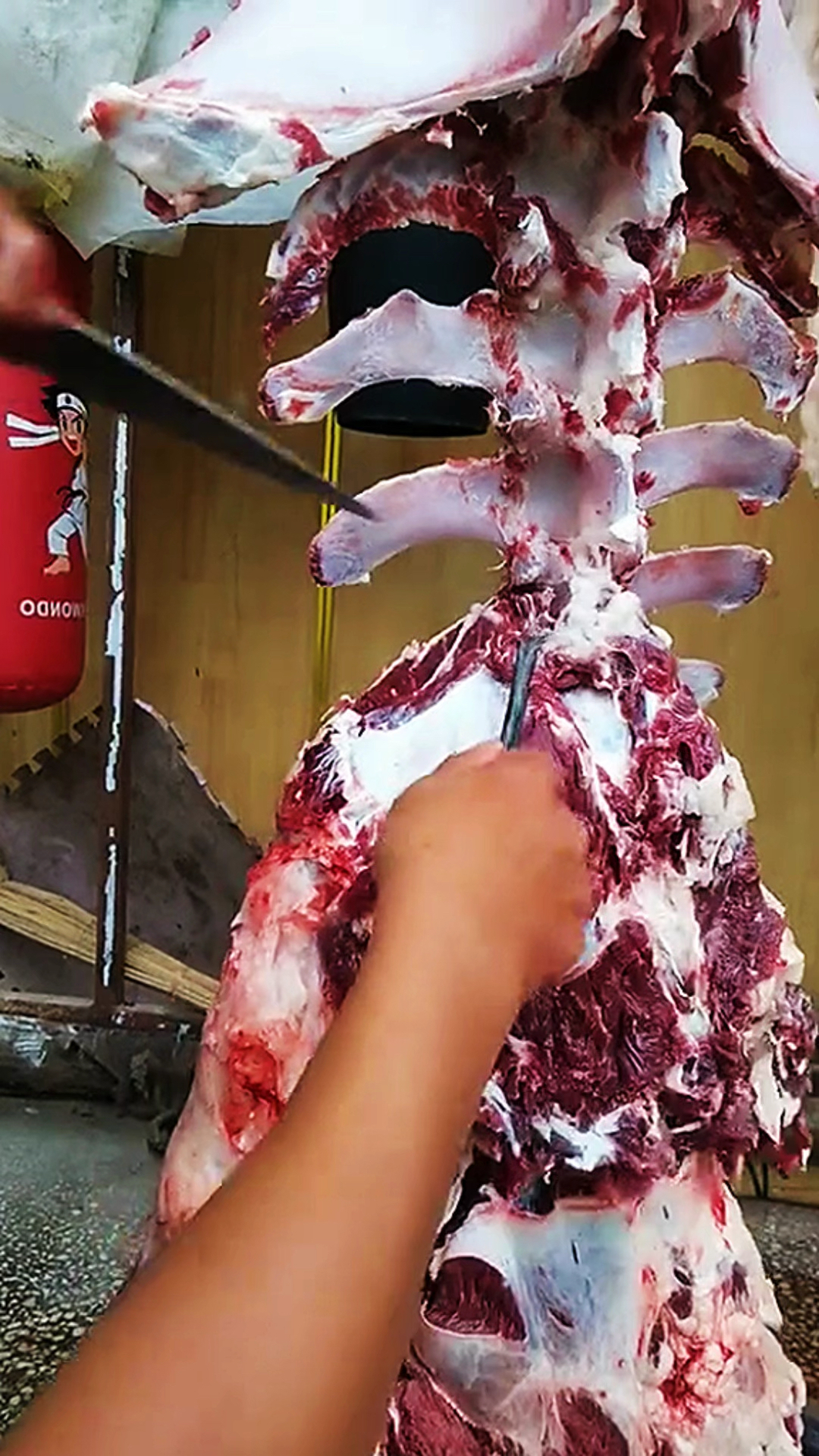 给羊剔骨手法太专业了