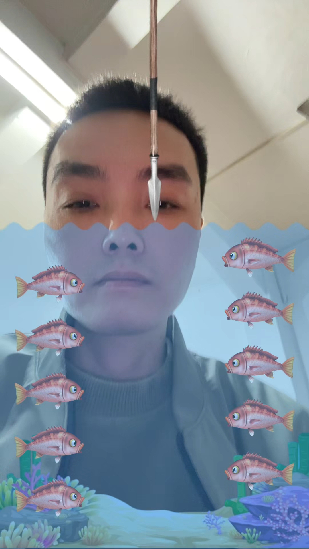 鲨鱼挑战,我叉几条你就用第几个表情包