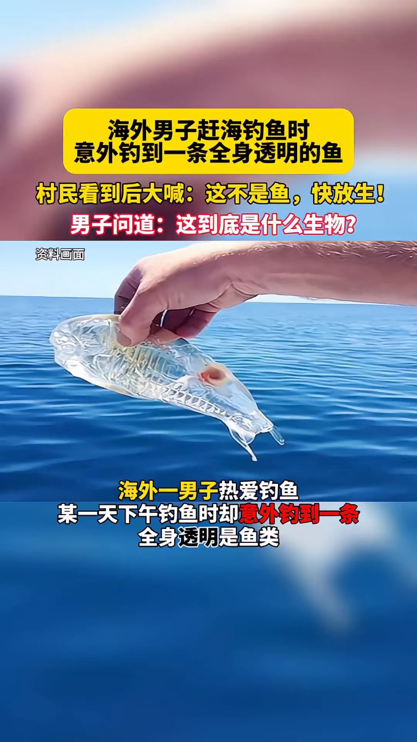 海外男子钓鱼时意外钓到一条“透明鱼”村民看到后大喊：这不是鱼