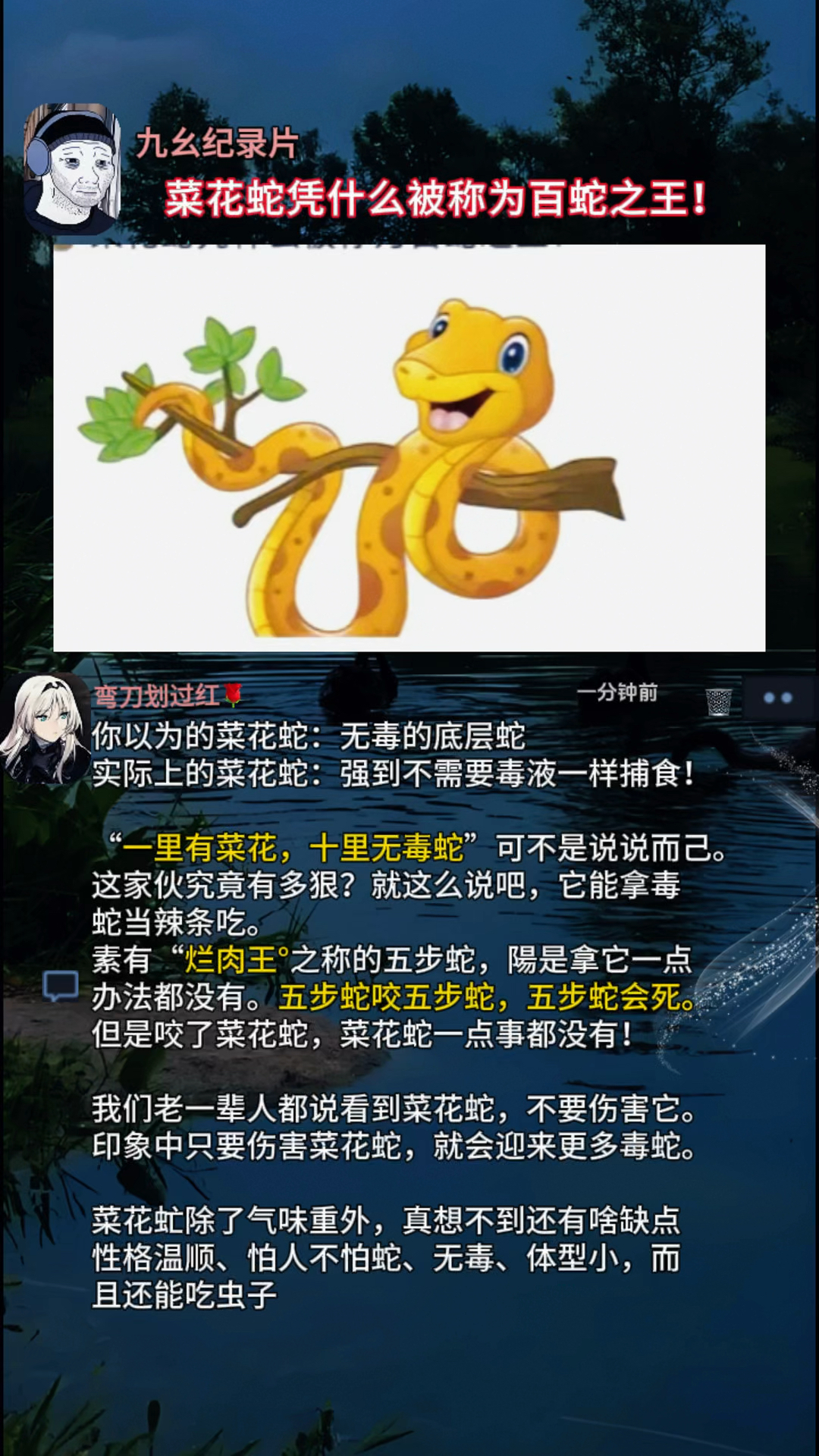 菜花蛇凭什么被称为百蛇之王
