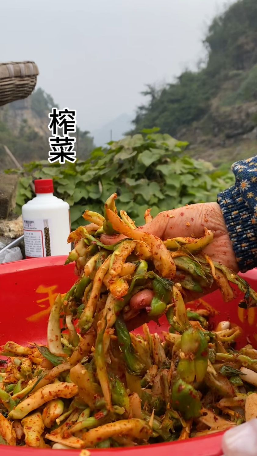 万万没想到,儿菜做出来的榨菜那么好吃