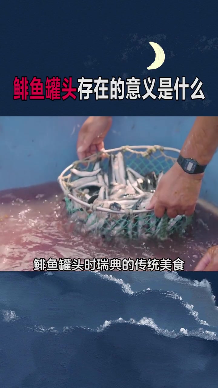 鲱鱼罐头那么臭它存在的意义是什么?