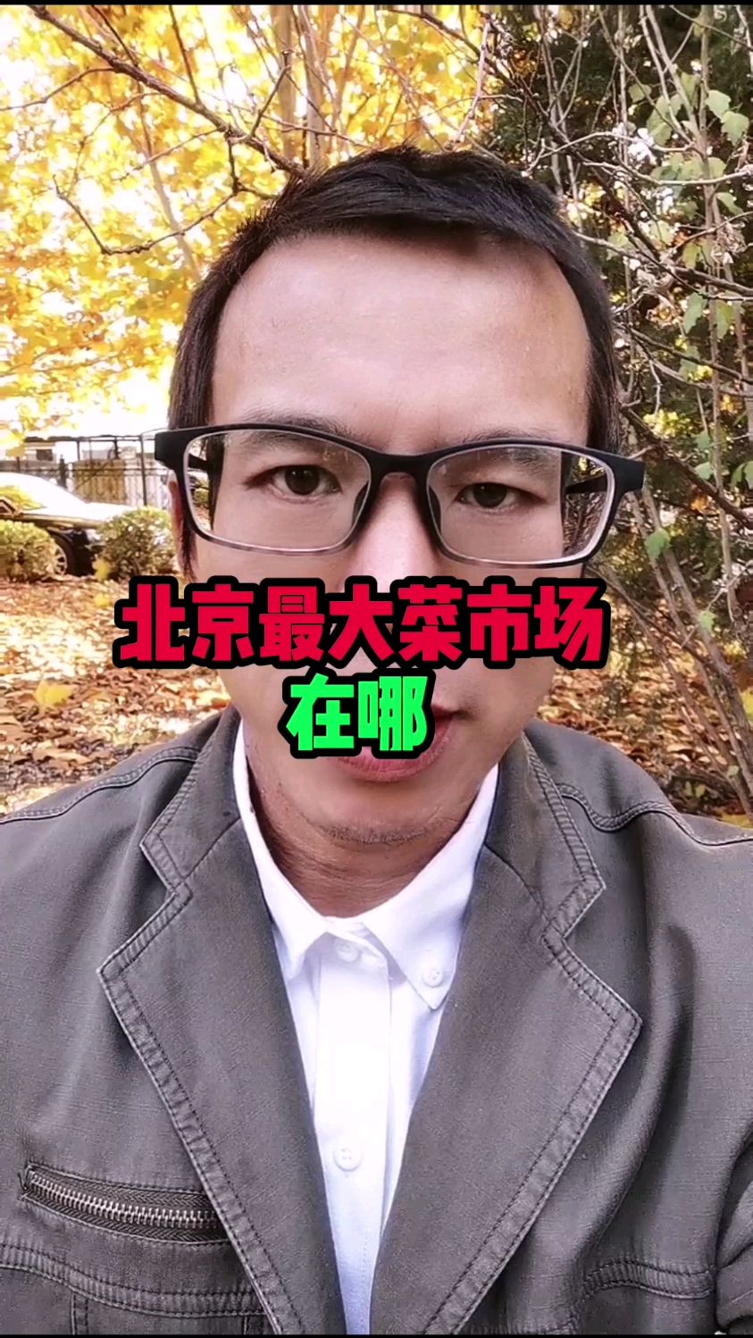 北京最大菜市场在哪
