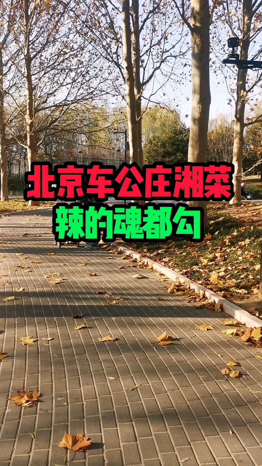 北京车公庄湘菜辣的魂都勾