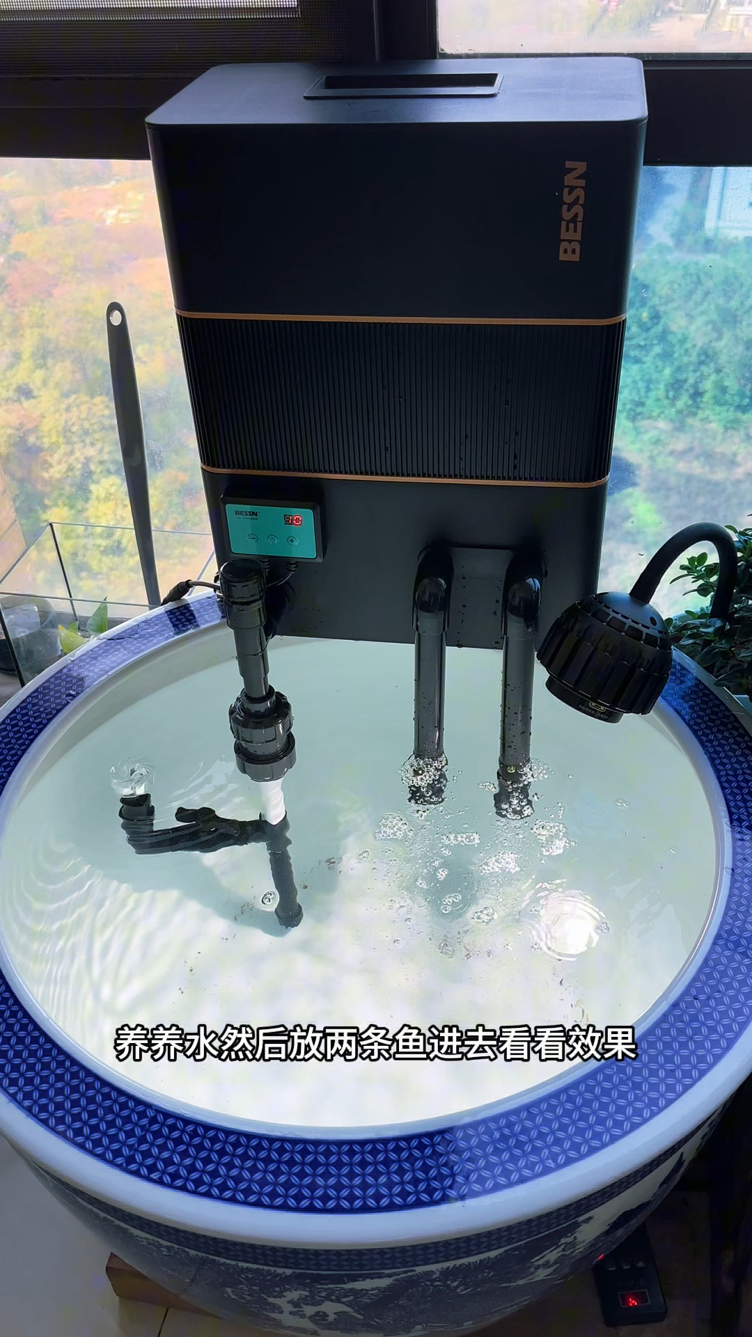 周转箱搭配陶瓷缸，还是非常好看的，不错