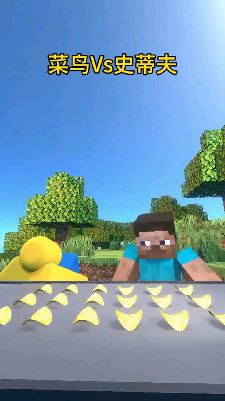 Minecraft: 菜鸟VS史蒂夫