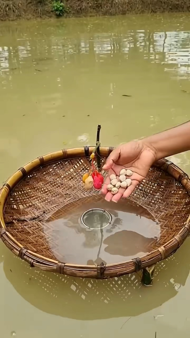 扑鱼的最高境界!