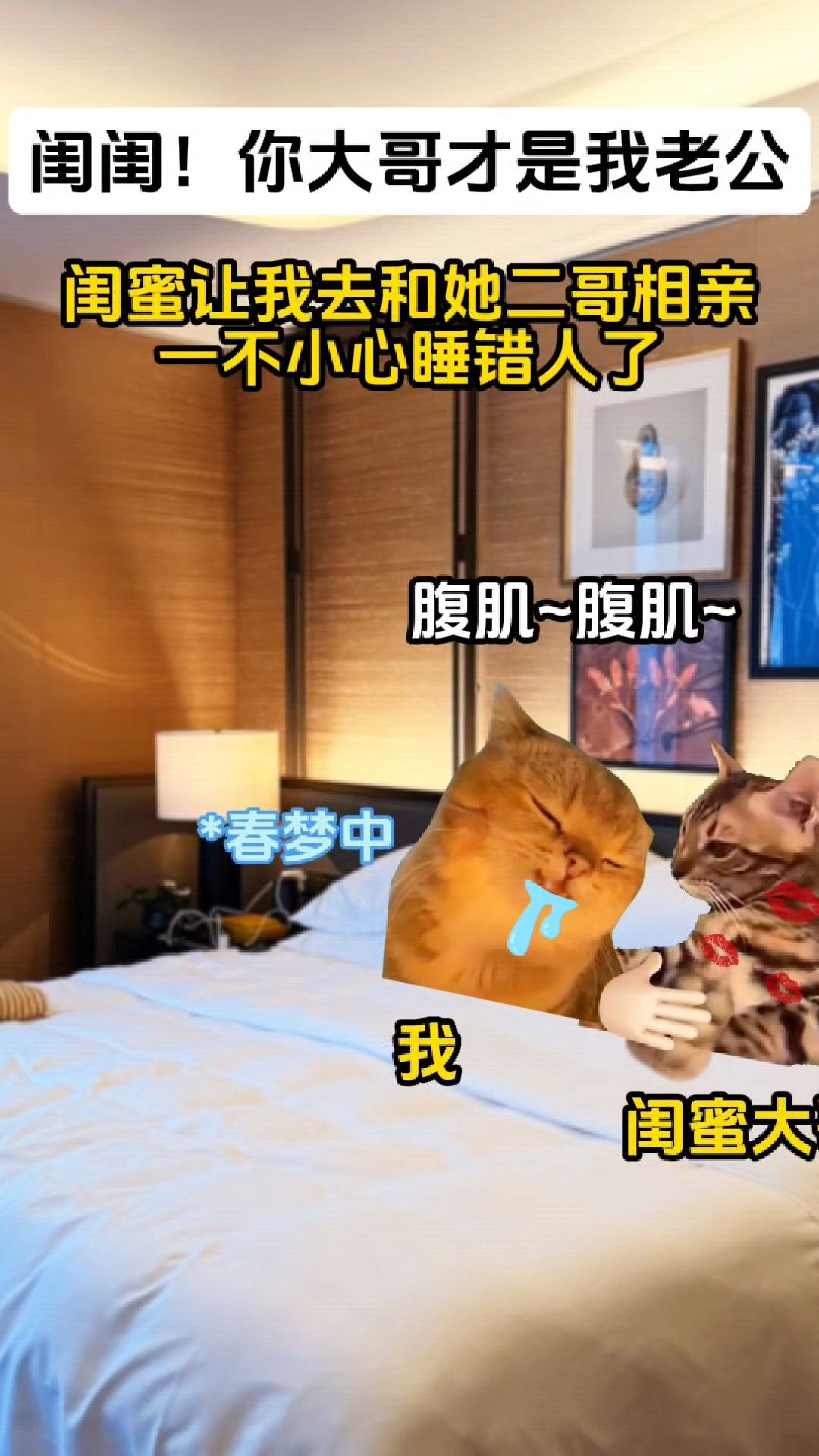 第一集《亲闺爱人》 #猫meme小剧场 #猫meme动画