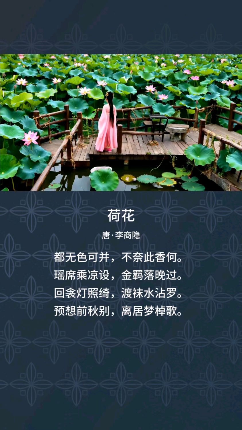 《荷花》唐·李商隐 #传统文化 #古诗词 #唐诗宋词 #国学经典