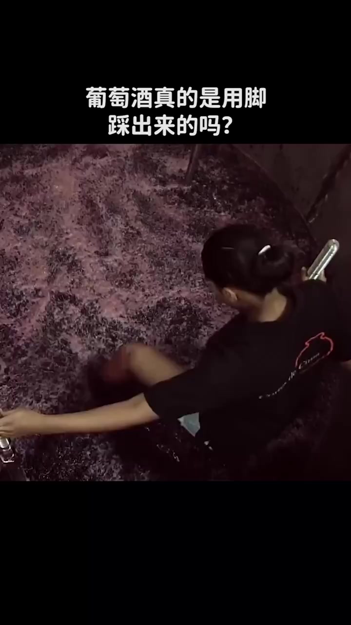 每日科普:葡萄酒真的是用脚踩出来的吗? 