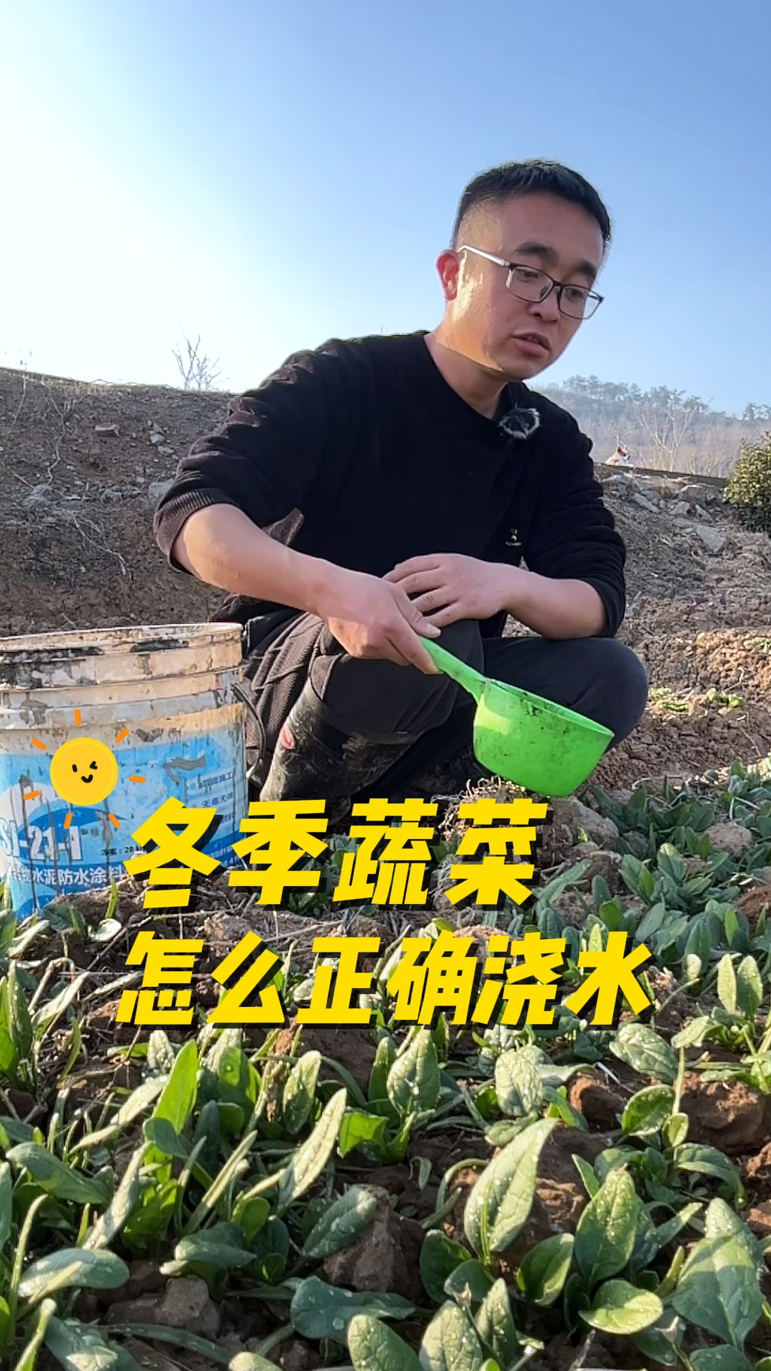 冬季蔬菜怎么正确浇水?冬天如何给蔬菜浇水
