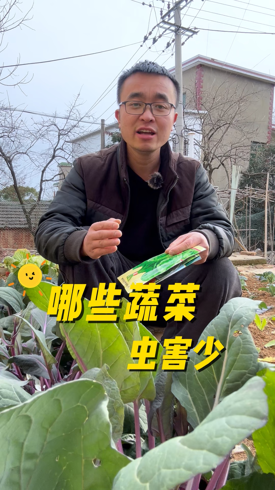 哪些蔬菜病虫害少?哪些蔬菜不招虫?