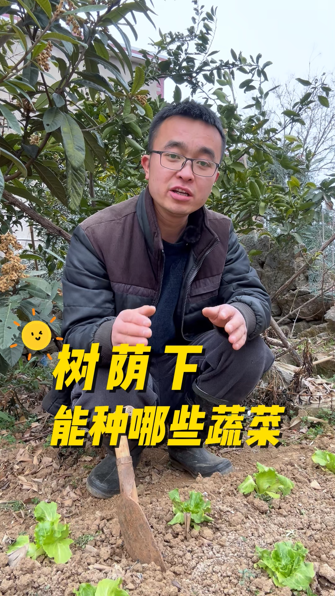 树荫下能种哪些蔬菜?阳光不足的地方能种哪些蔬菜?