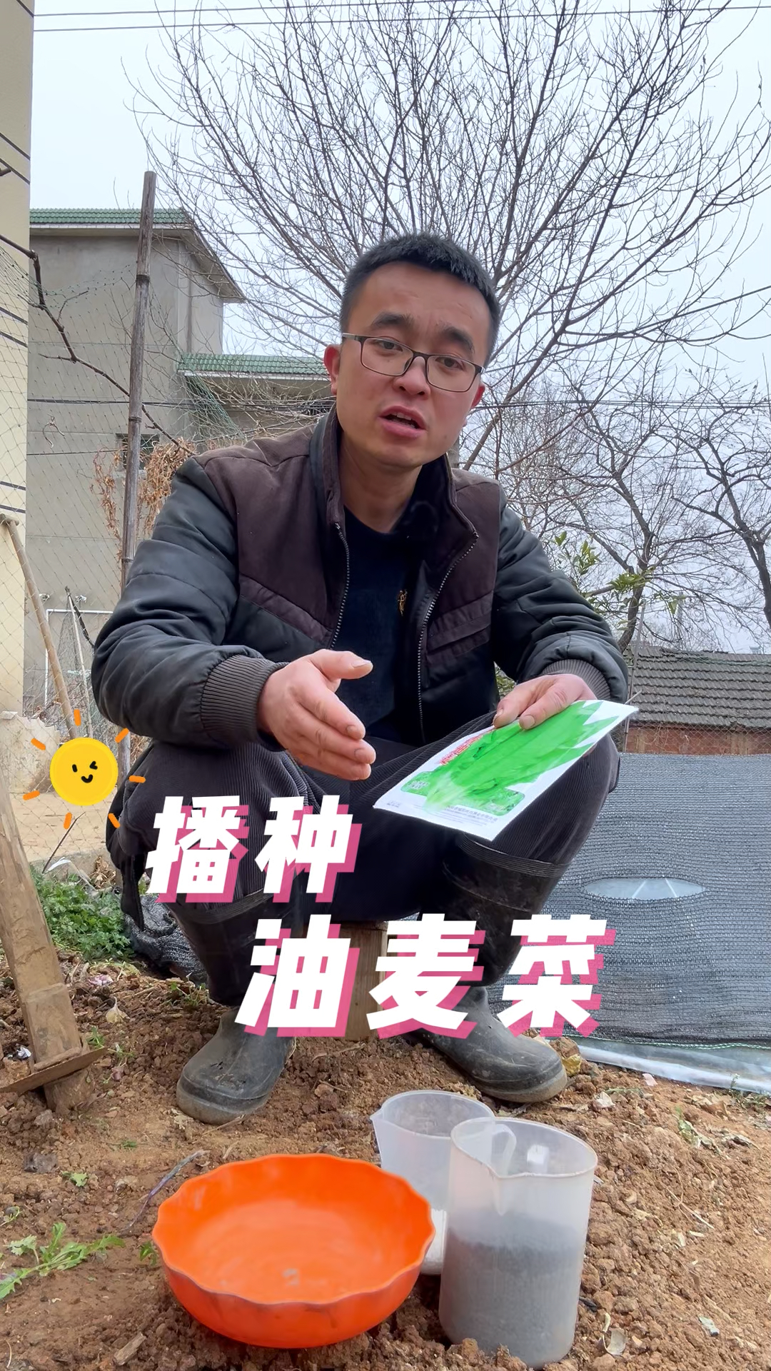 春季油麦菜怎么种?播种油麦菜#种植小技巧 #在家种菜 #蔬菜种子