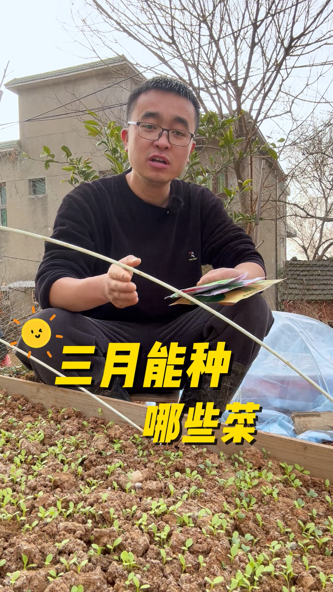 三月能种哪些蔬菜?现在能种哪些菜?