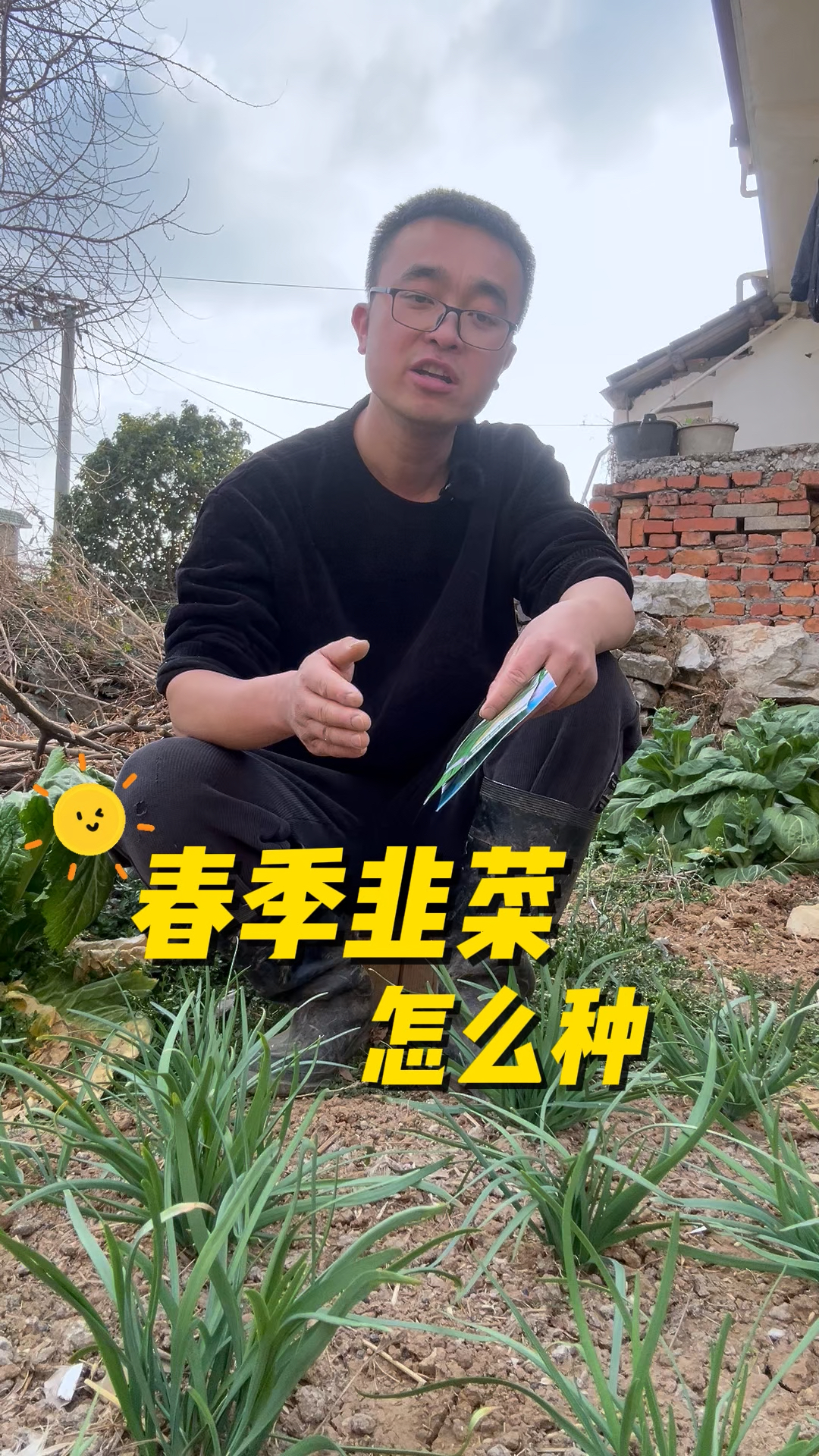 春季韭菜怎么种?什么时候种?韭菜种植方法#种植小技巧