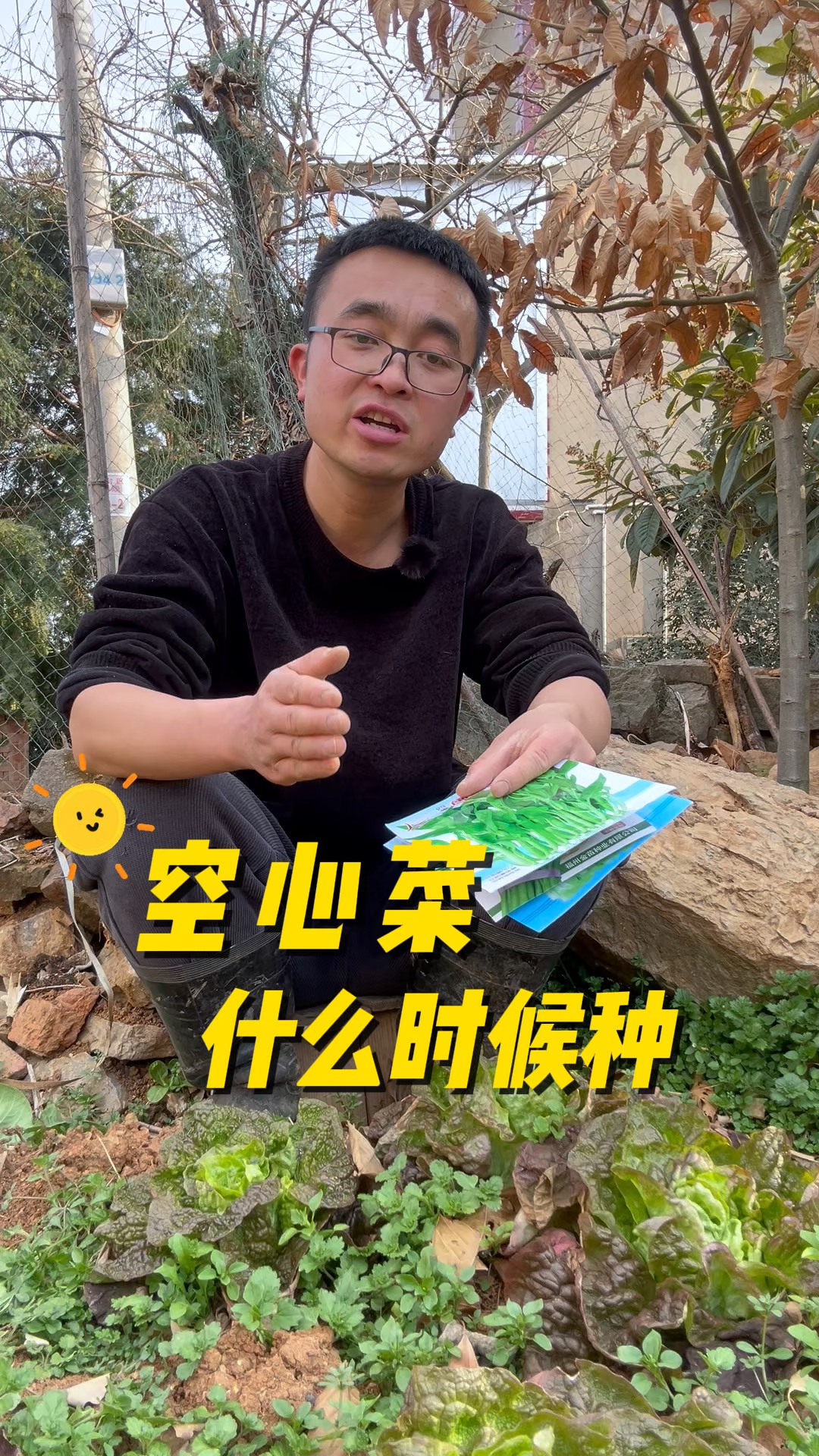 空心菜什么时候种?空心菜怎么种?
