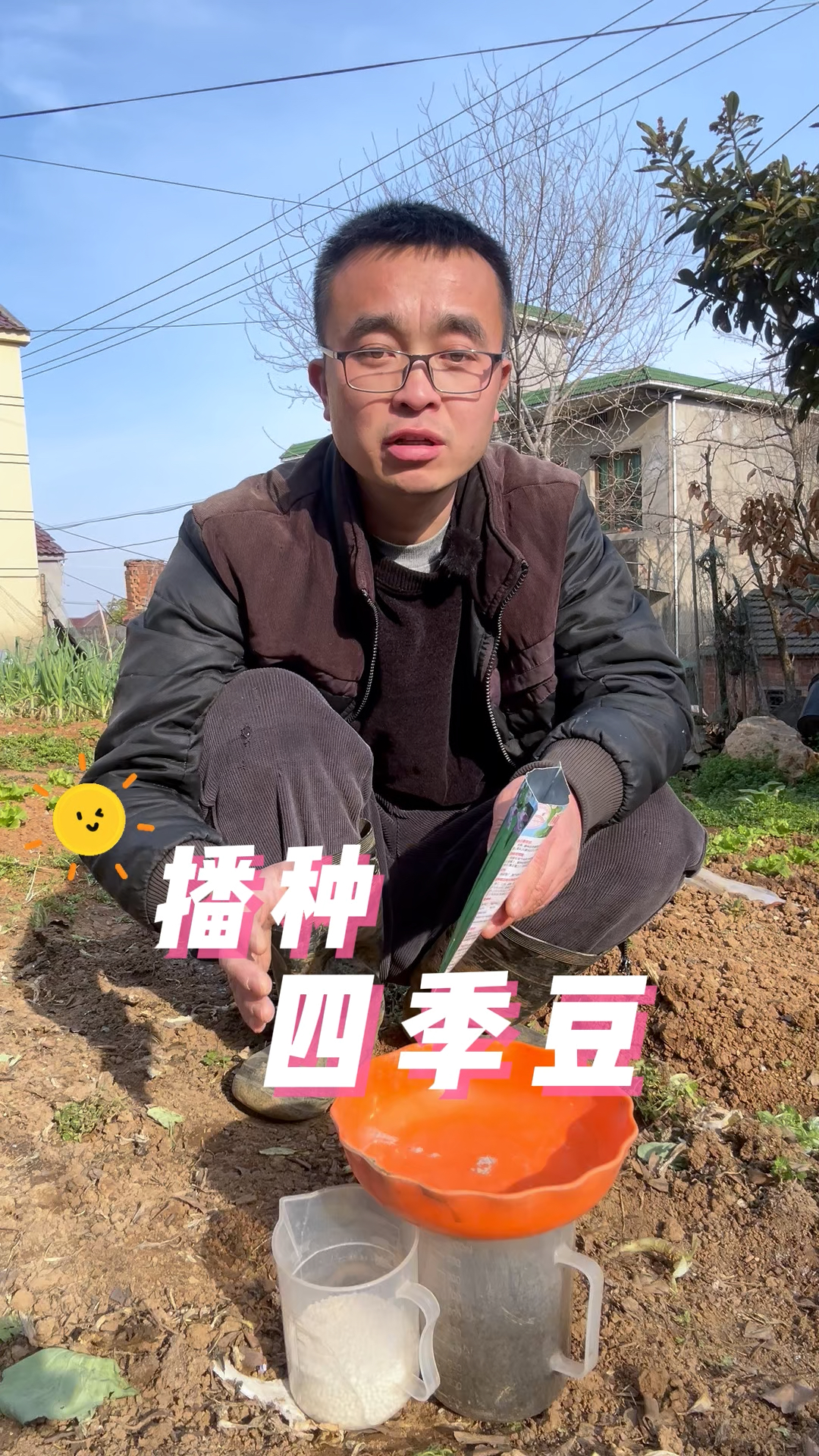 四季豆播种全过程,四季豆怎么播种?四季豆播种方法?