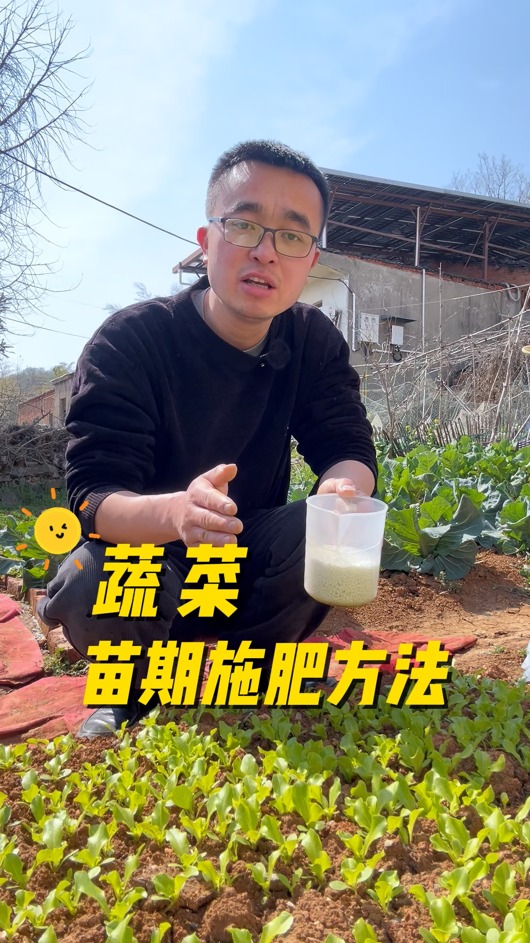 蔬菜苗期怎么正确施肥?小苗出苗后施肥过程?