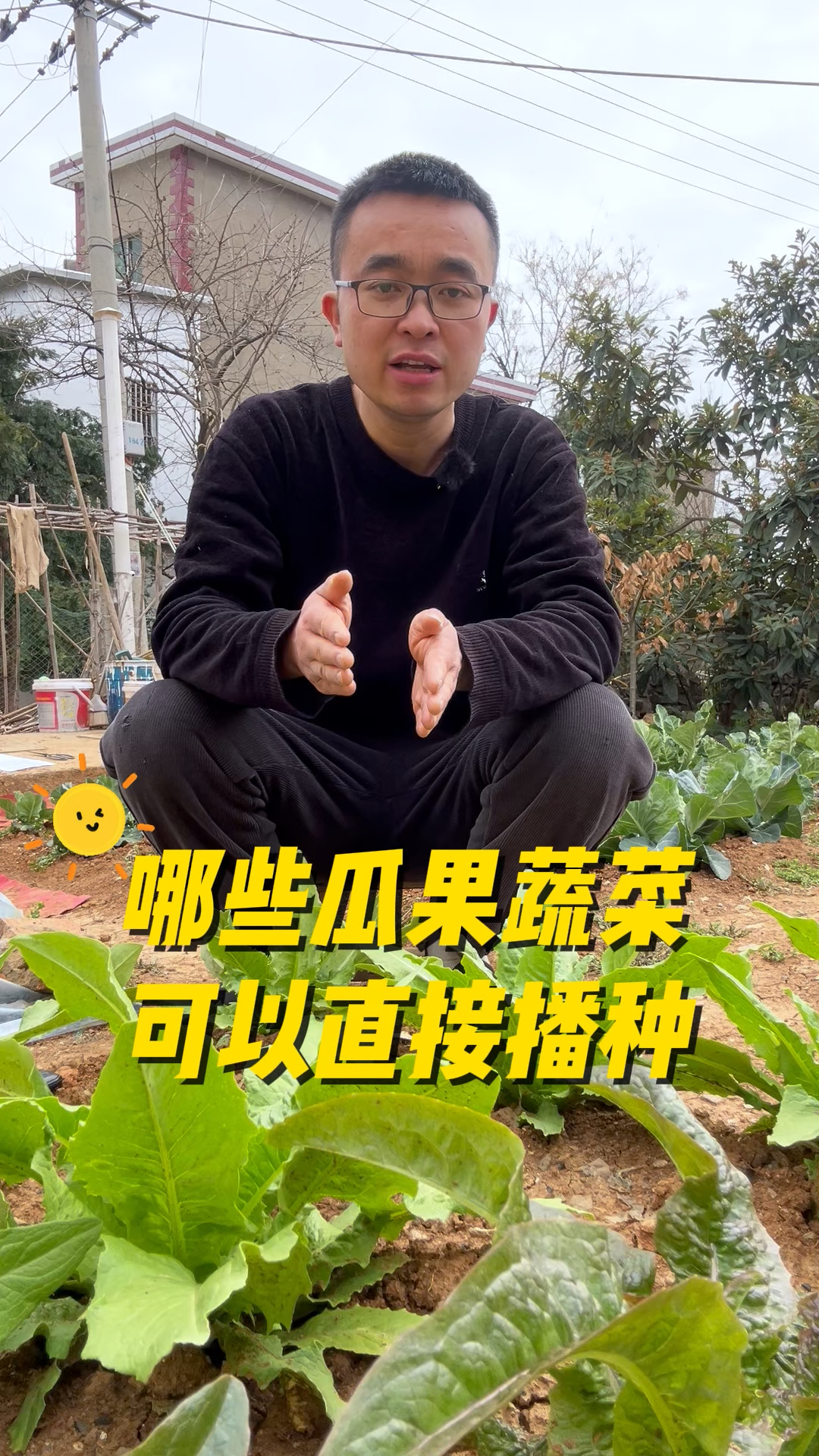 哪些瓜果蔬菜可以直接播种?