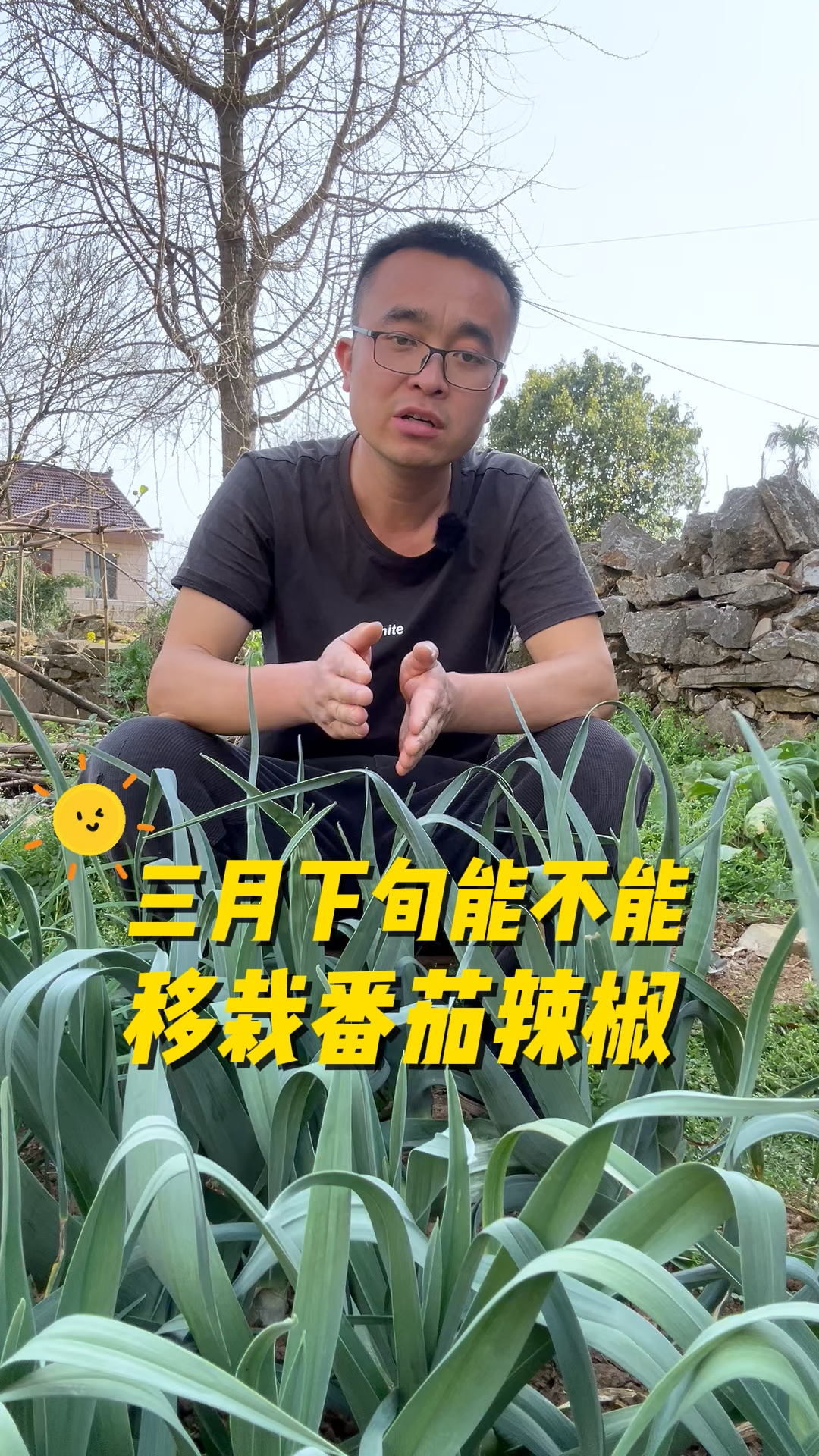 三月下旬能不能移栽番茄、辣椒、茄子、黄瓜这些茄果类蔬菜?