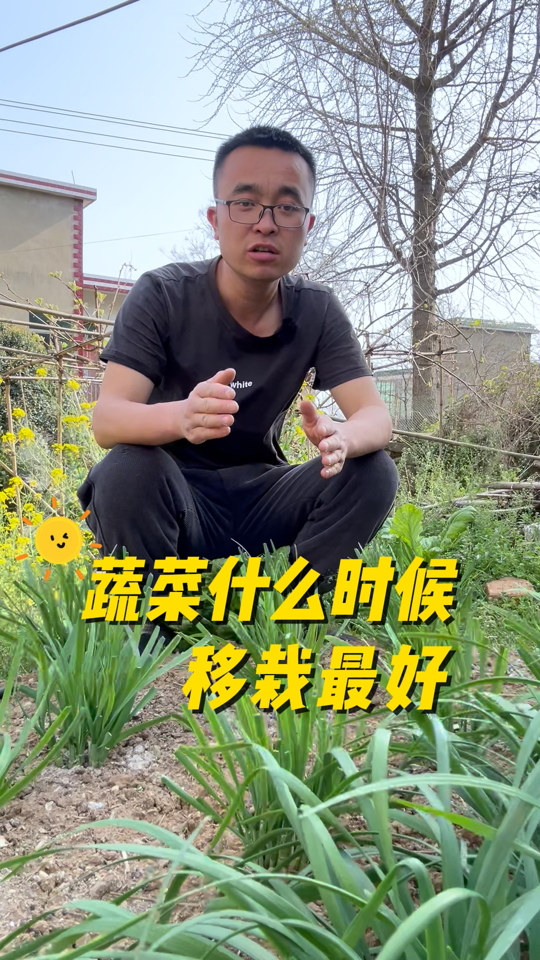 蔬菜什么时候移栽最好?蔬菜移栽的基本原则?