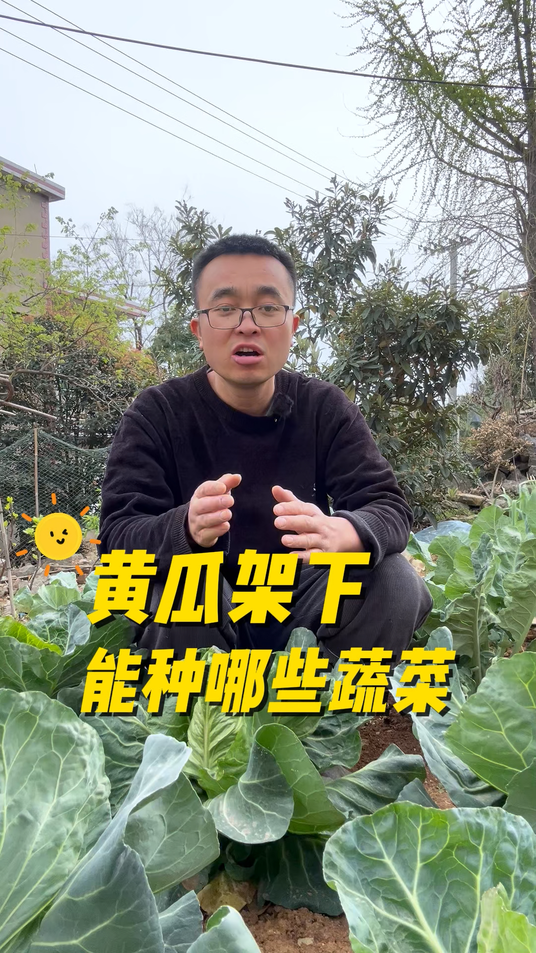 黄瓜架下面能种哪些蔬菜?
