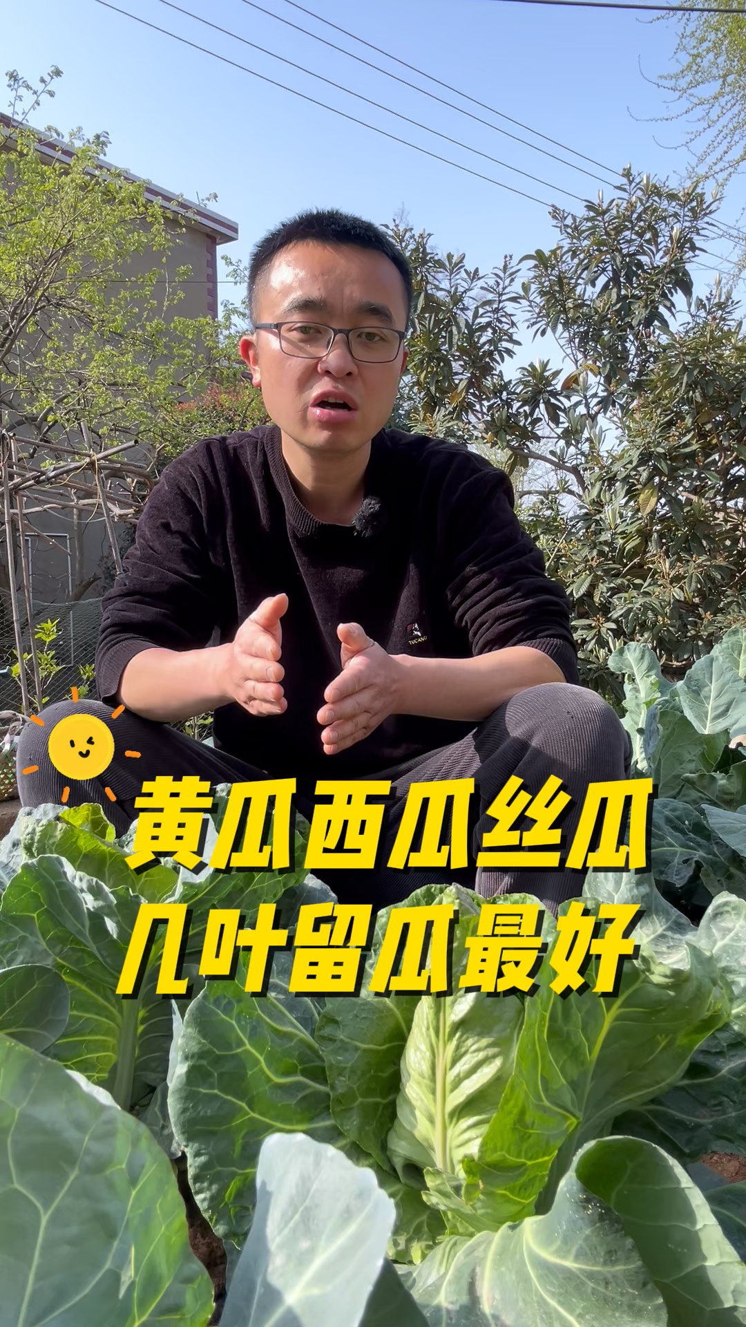 黄瓜西瓜丝瓜几片叶子留瓜最好?