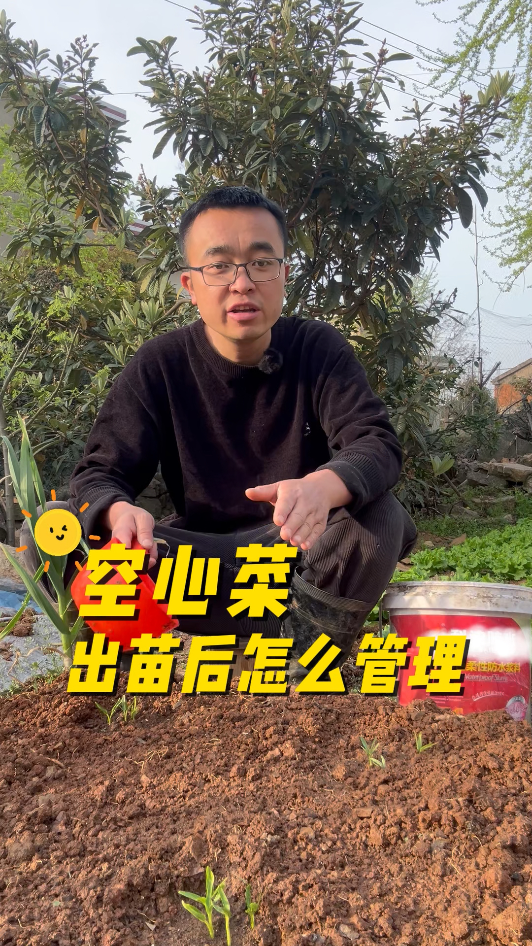 空心菜出苗后怎么管理?生长迅速?