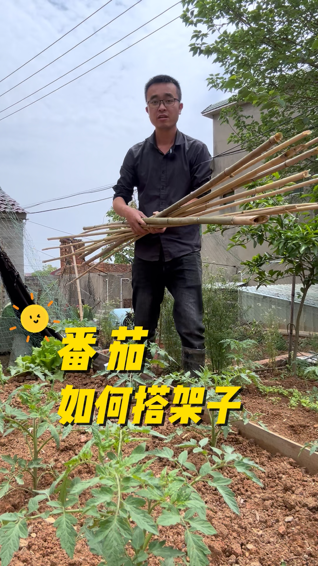 番茄如何搭架子?#菜园 #每天分享蔬菜种植技巧