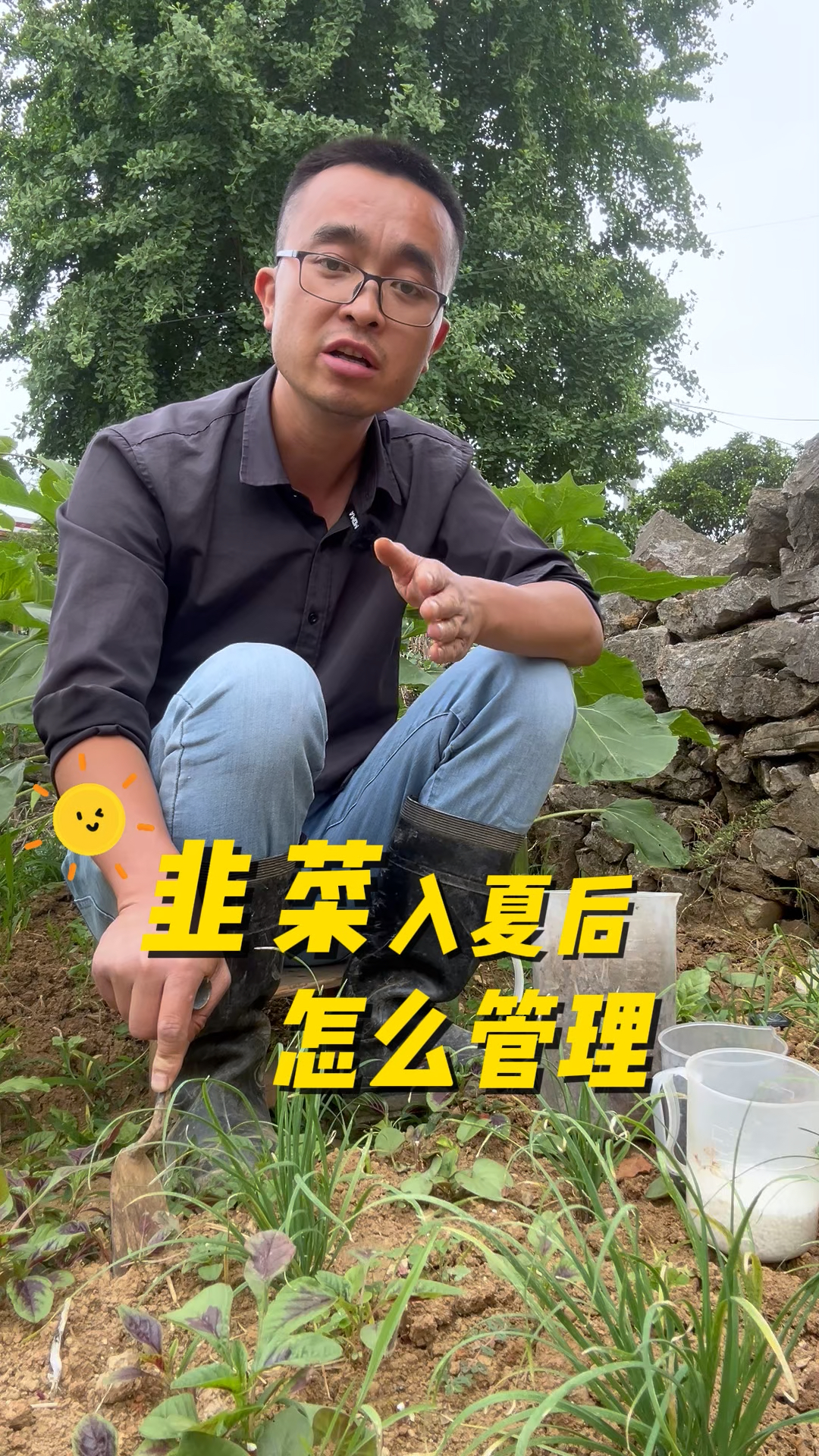 韭菜入夏后怎么管理?才能生长旺盛?