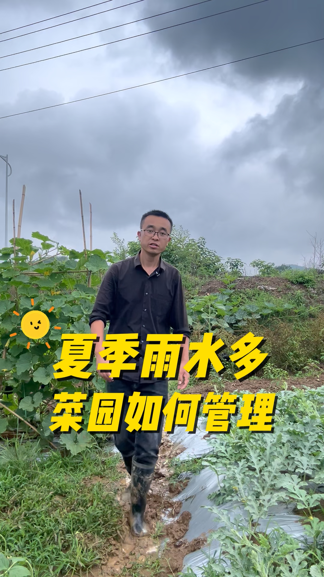 夏季小菜园雨水多,该怎么管理?