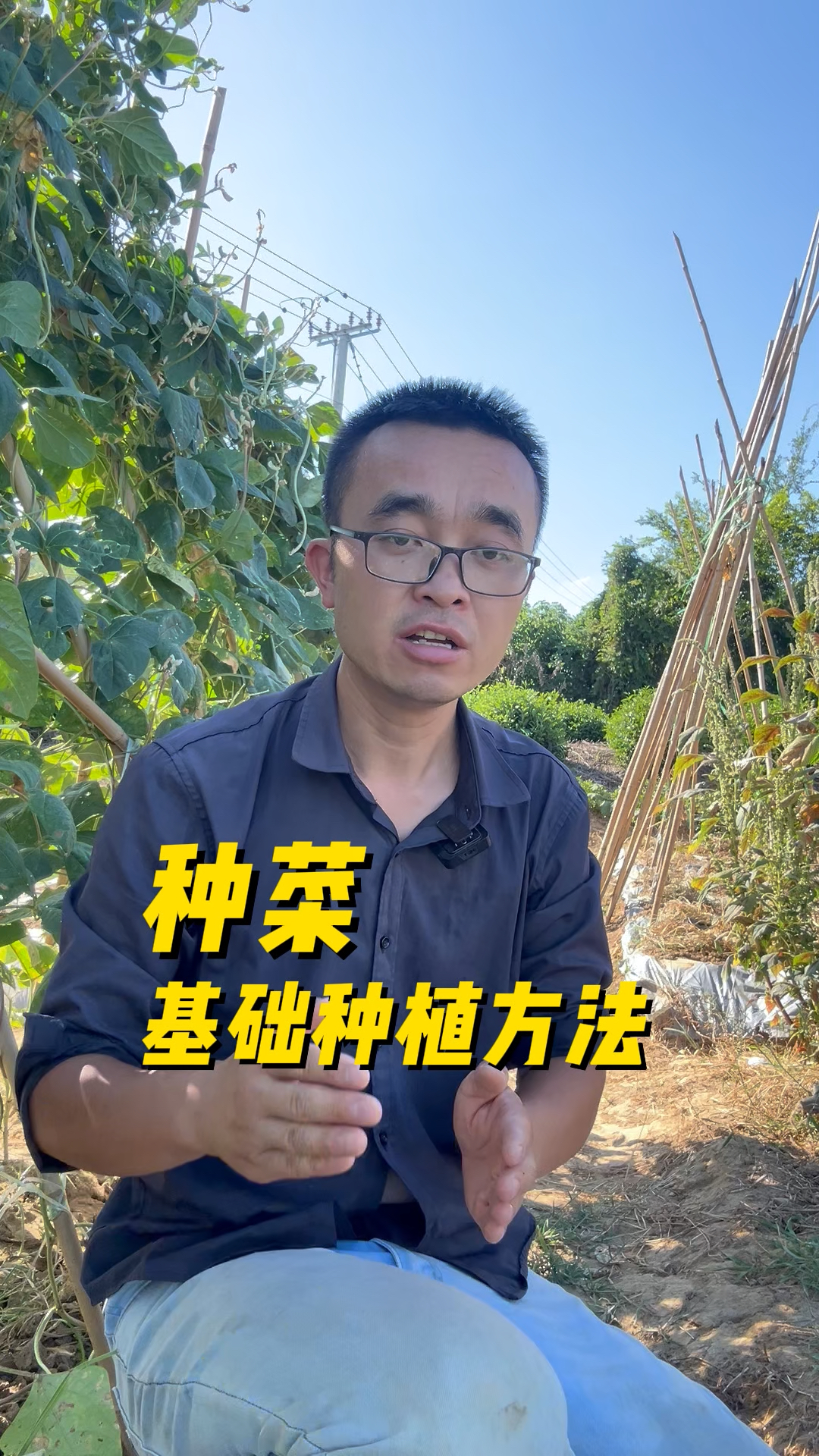 种菜基础种植方法是什么?