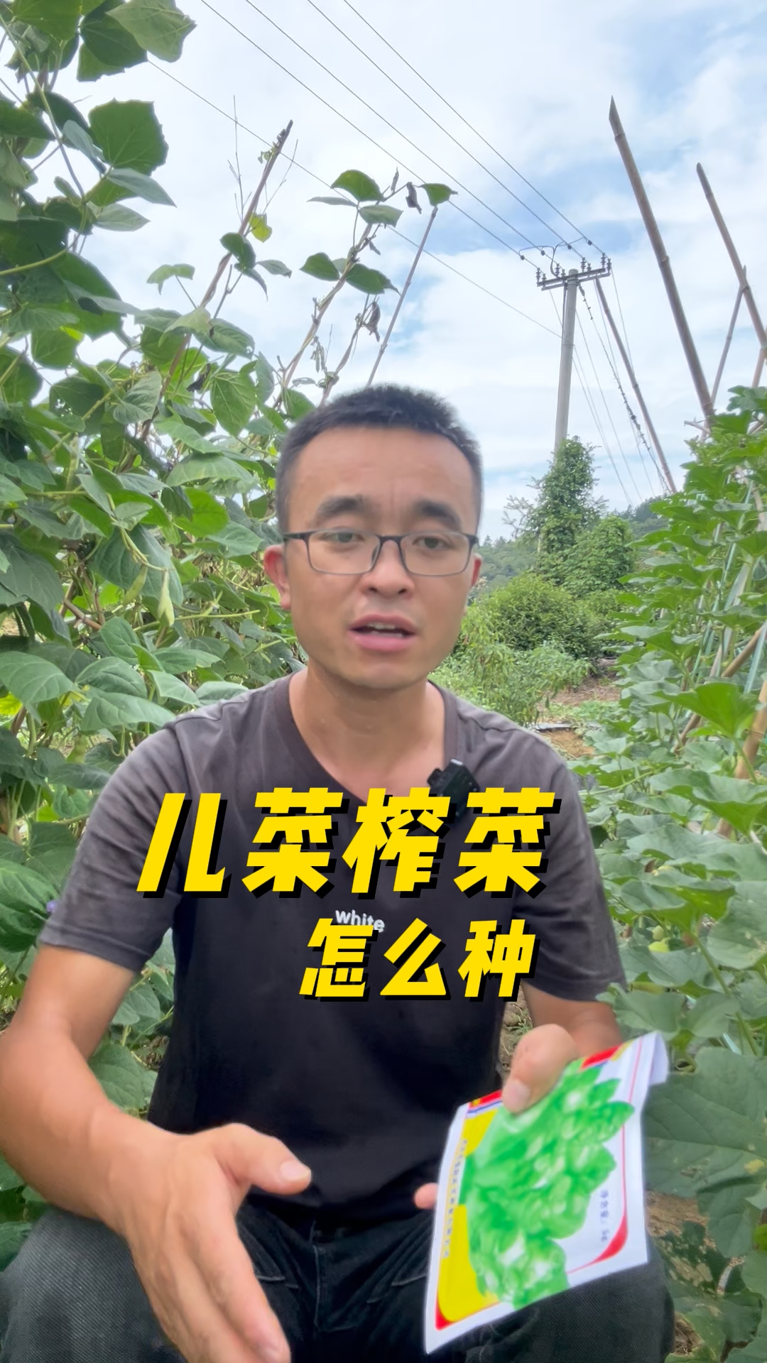 儿菜、榨菜怎么种?什么时候种?