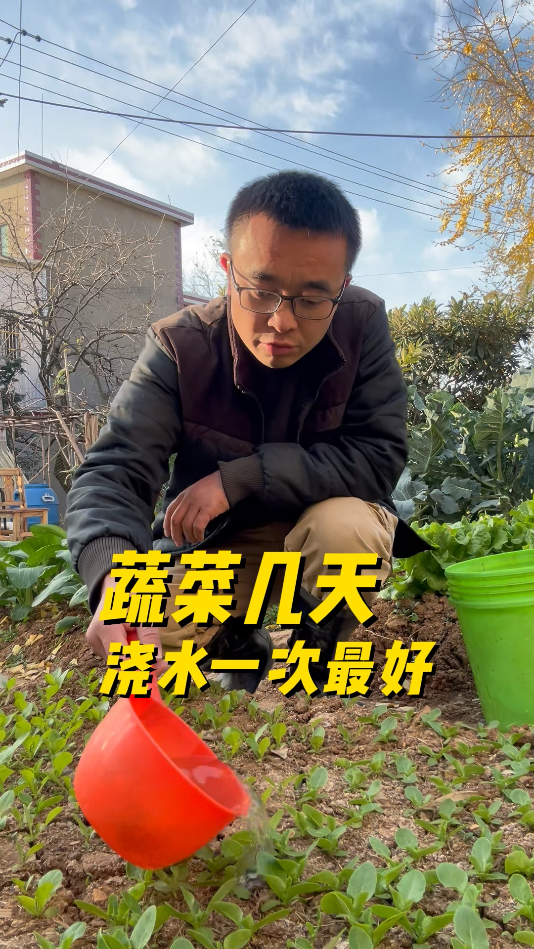 蔬菜几天浇水一次最好? 种菜小技巧
