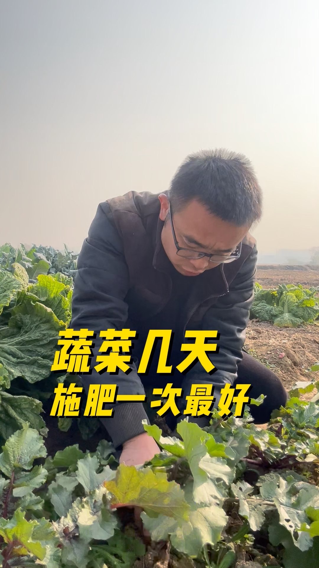 蔬菜几天施肥一次最好?