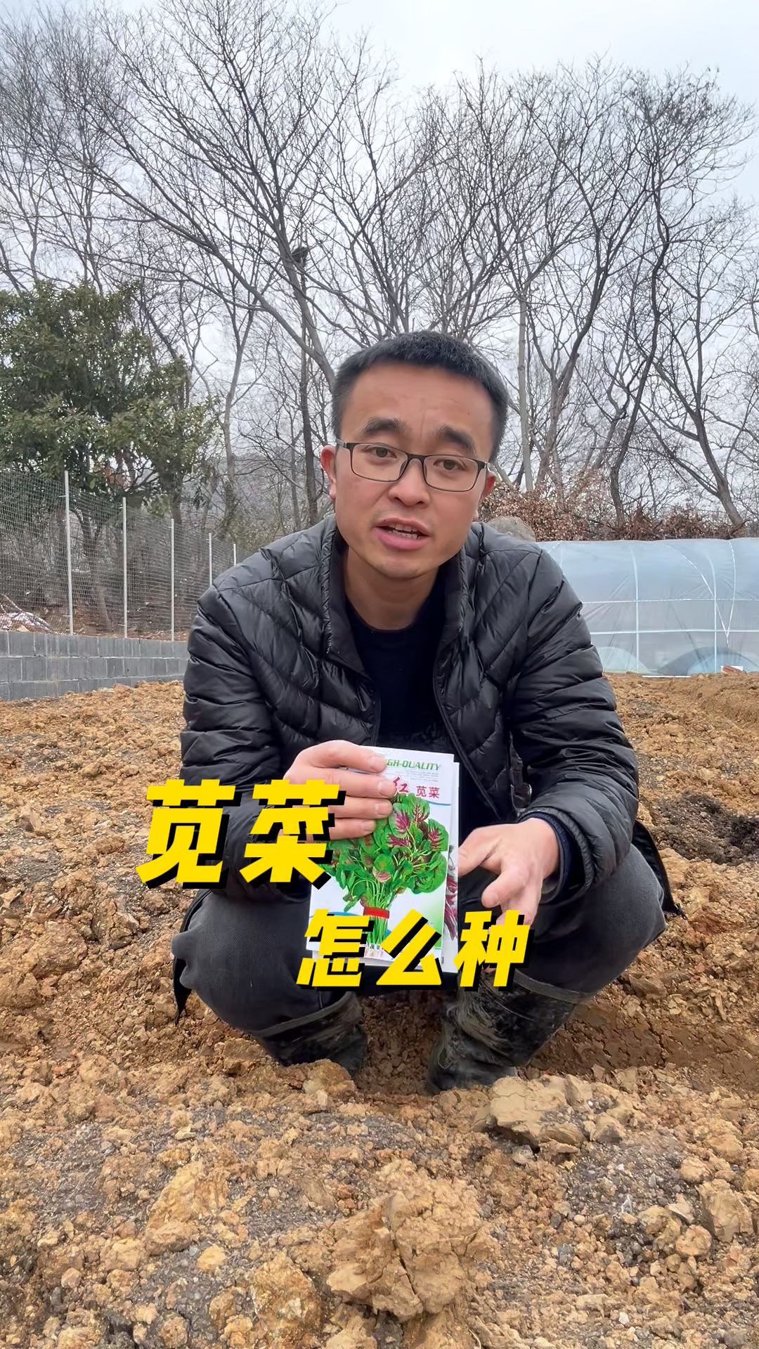 苋菜怎么种?什么时候种?